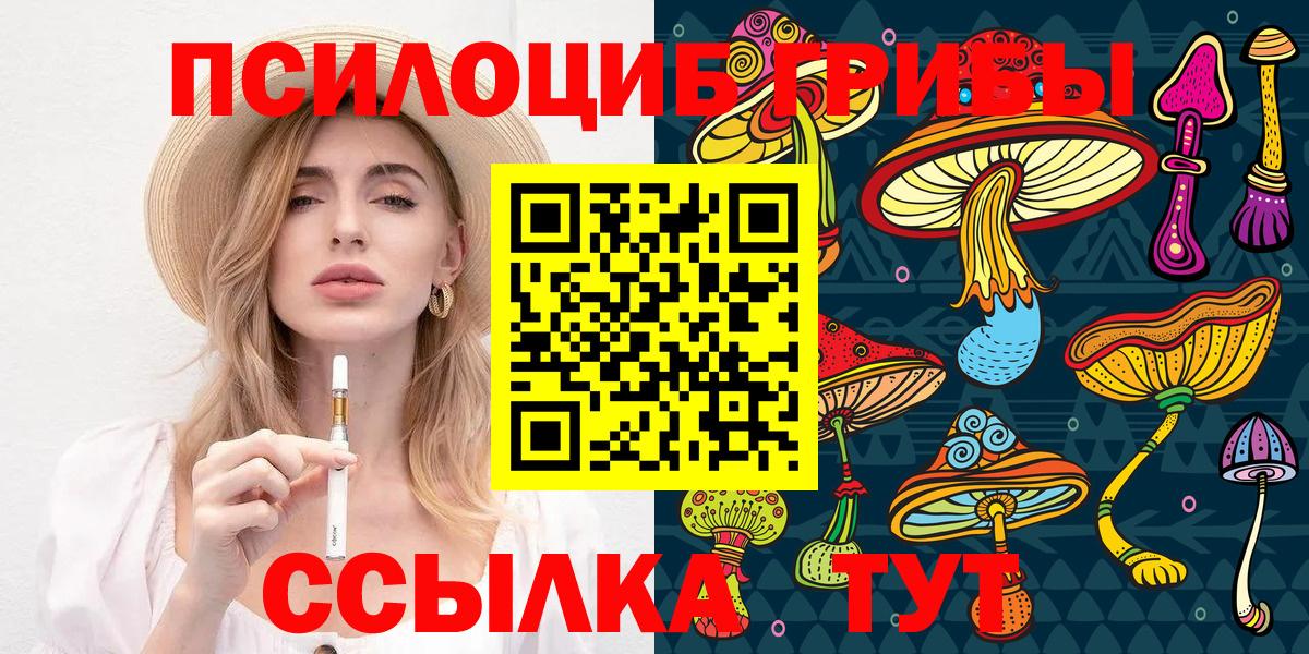 Галлюциногенные грибы Psilocybe Приморско-Ахтарск