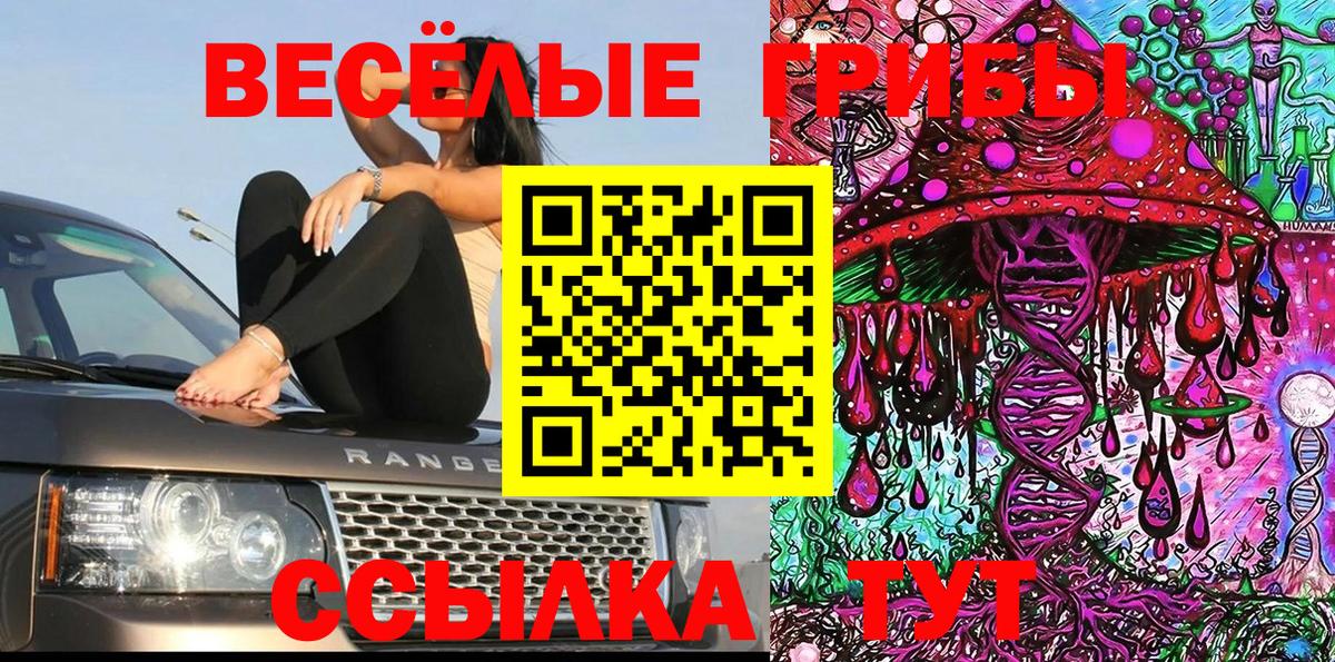 где можно купить наркотик  Галлюциногенные грибы GOLDEN TEACHER  Вход с VPN  Приморско-Ахтарск 
